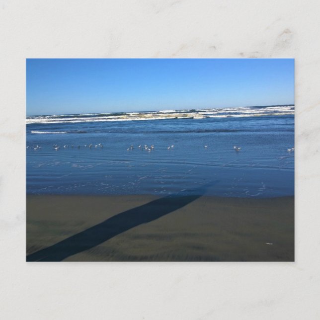 Cartão Postal Long Beach, Washington (Frente)