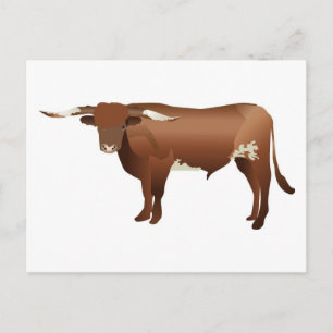 Cartão Postal Longhorn Cattle