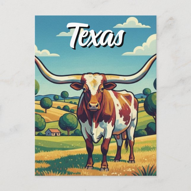 Cartão Postal Longhorn do Texas (Frente)
