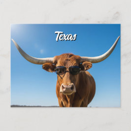 Cartão Postal Longhorn do Texas em óculos de sol