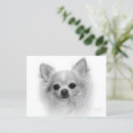 Cartão Postal Longo Casaco Chihuahua - Belas artes à mão