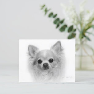 Cartão Postal Longo Casaco Chihuahua - Belas artes à mão