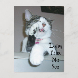 Cartão Postal Longo Tempo Não Ver