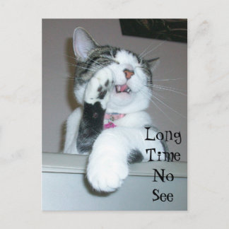 Cartão Postal Longo Tempo Não Ver
