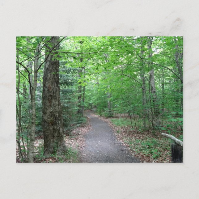 Cartão Postal Lonsie Lake Trail em New Hampshire (Frente)