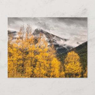 Cartão Postal Loop alpino Silverton, Colorado