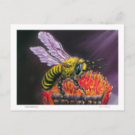 Cartão Postal Lord of Honey