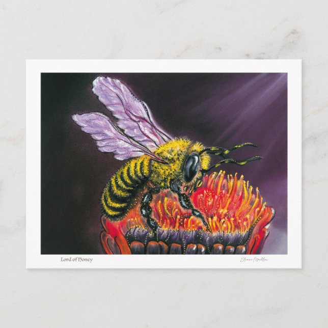 Cartão Postal Lord of Honey (Frente)