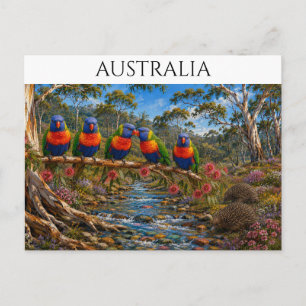 Cartão Postal Loro Arco-íris da Austrália & Corredeira de Equidn