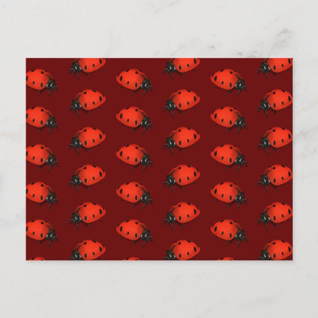 Cartão Postal Lote De Ladybugs (Frente)