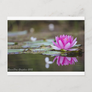 Cartão Postal Lotus