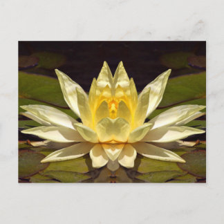 Cartão Postal Lotus1 Avançado
