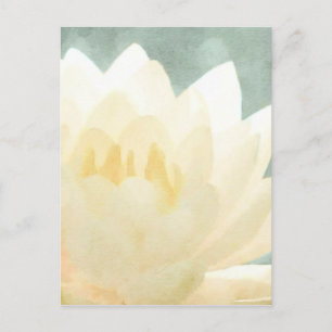 Cartão Postal Lotus Branco