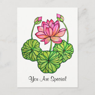 Cartão Postal Lotus Cor-de-Água Rosa com Compartimentos e Folha