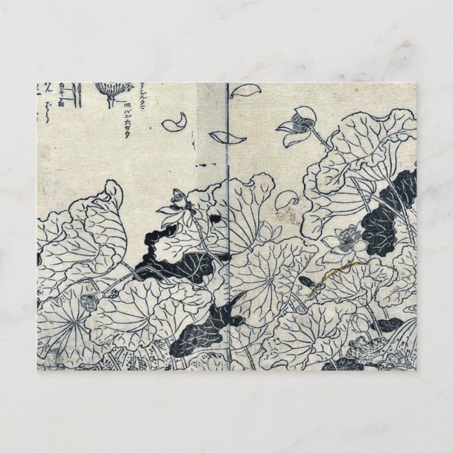 Cartão Postal Lótus no vento por Tachibana,Yasukuni (Frente)