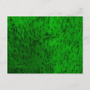 Cartão Postal Louça de Barro Verde Lima