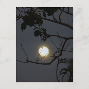 Cartão Postal Loucura da Lua Cheia