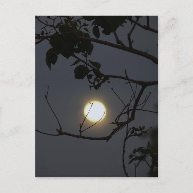 Cartão Postal Loucura da Lua Cheia (Frente)