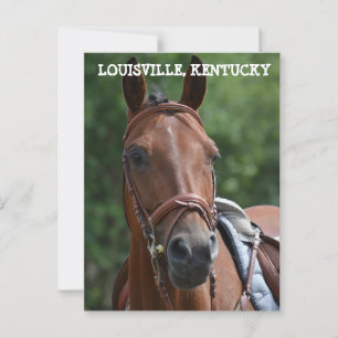 Cartão postal LOUISVILLE KENTUCKY RACE HORSE