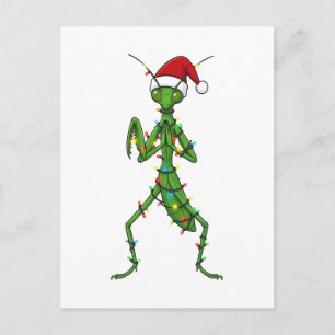 Cartão Postal Louva-a-Deus Natal Feriado Inseto Bug