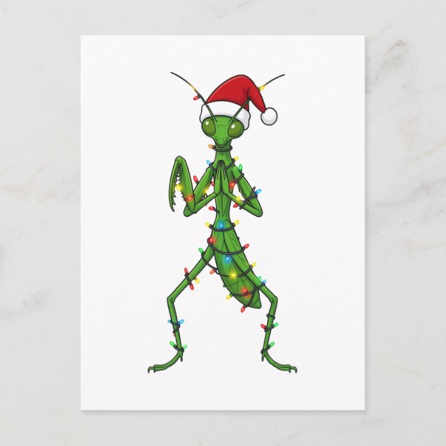 Cartão Postal Louva-a-Deus Natal Feriado Inseto Bug (Frente)