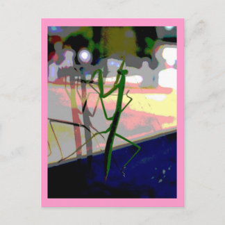 Cartão Postal Louva-a-deus Praying