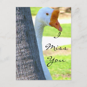 Cartão Postal Love/Any Occasion_Postcard