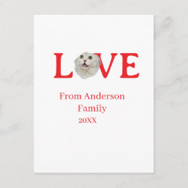 Cartão Postal Love holidays cat photo pet family name bold lette