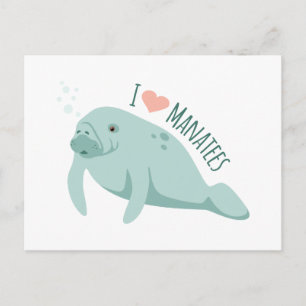 Cartão Postal Love Manatees