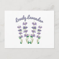 Lovely Lavendar