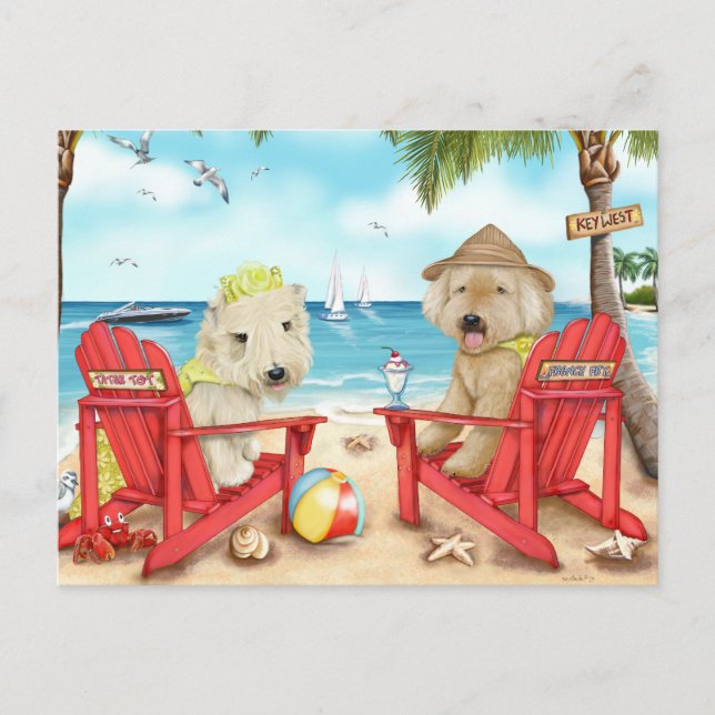 Cartão Postal Loving Key West (Frente)