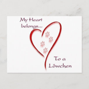 Cartão Postal Löwchen Hearts Pertence