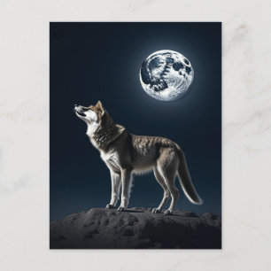 Cartão Postal Lua cheia brilhando no lobo