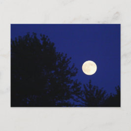 Cartão Postal Lua cheia com árvores e céu azul