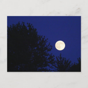 Cartão Postal Lua cheia com árvores e céu azul