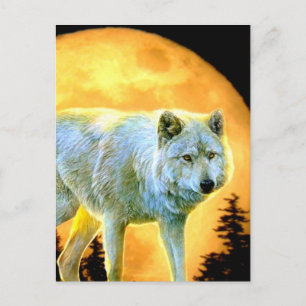 Cartão Postal lua cheia da floresta florestal lobo