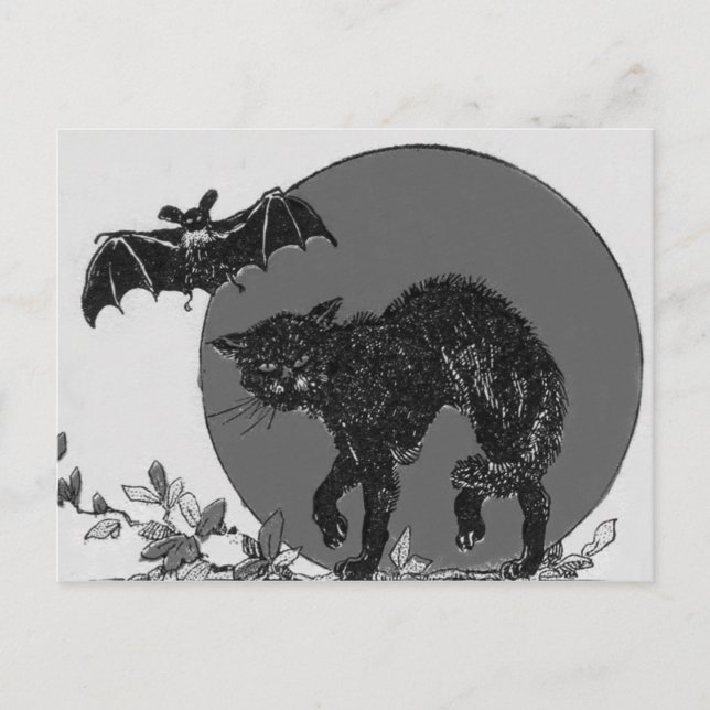 Cartão Postal Lua Cheia de Gato Preto Monocromático (Frente)