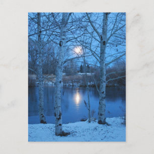 Cartão Postal Lua cheia de inverno na libra