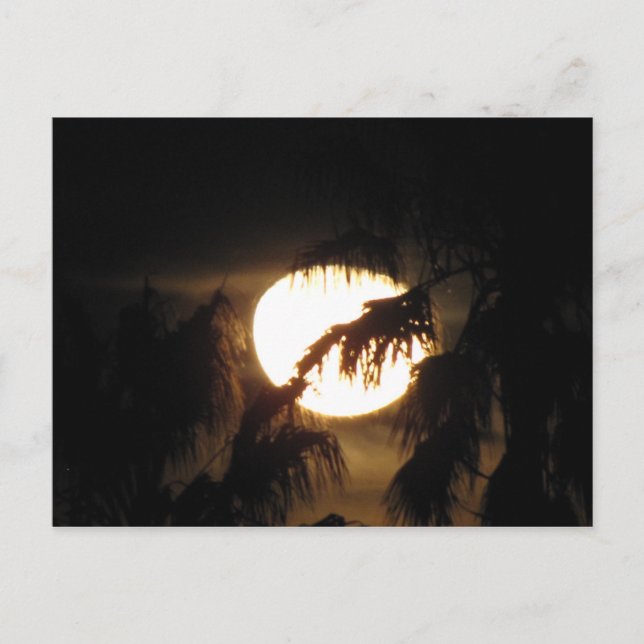 Cartão Postal lua de noite (Frente)