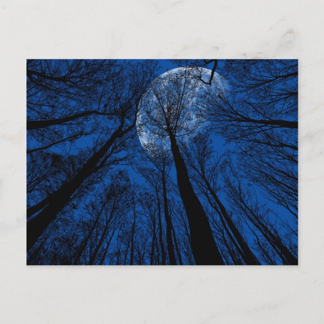 Cartão Postal Lua no Céu Noturno (Frente)