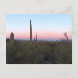 Cartão Postal Lua Rosa sobre Saguaro ao Nascer do Sol