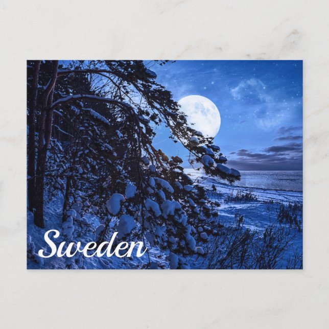 Cartão Postal Lua sobre o pinheiro-de-neve e costa-marítima em p (Frente)