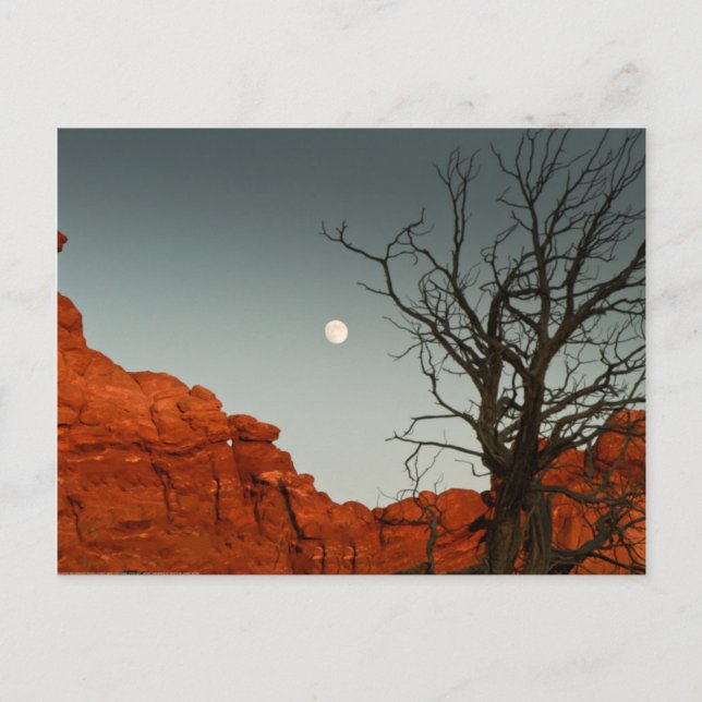 Cartão Postal Lua Wicked (Frente)