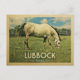 Cartão Postal Lubbock Texas Postcard Horse Fazenda - Viagens vin