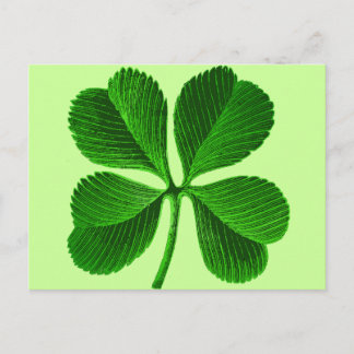 Cartão Postal Lucky Four Folha Clover