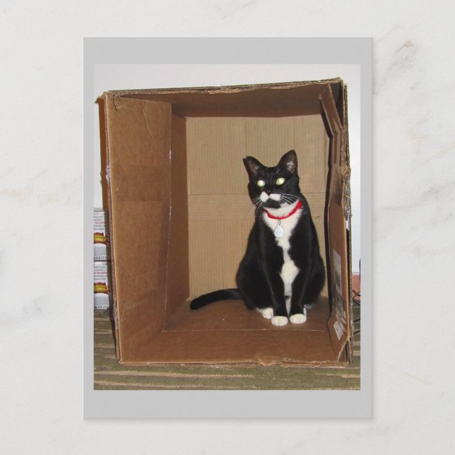 Cartão Postal Lucy in a Box (Frente)