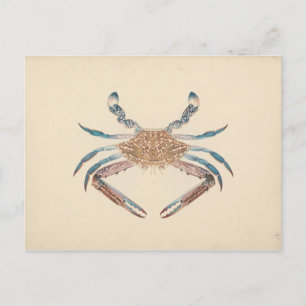 Cartão Postal Luigi Balugani - Portunua Pelagicus - Caranguejo A