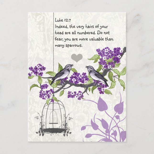 Cartão Postal Luke 12:7 você é mais valioso que muitos pardais (Frente)