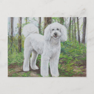 Cartão Postal Luke, o Cartão-postal do Cachorro do Ouro