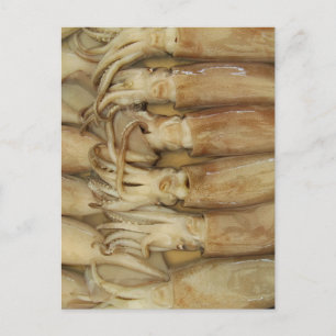 Cartão Postal Lula - Calamares